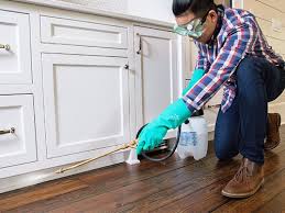 Best Pest Prevention Services  in Gallipolis, OH